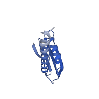 13034_7oqy_L_v1-2
Cryo-EM structure of the cellular negative regulator TFS4 bound to the archaeal RNA polymerase