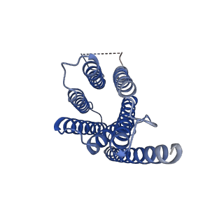 13035_7oqz_A_v1-1
Cryo-EM structure of human TMEM45A