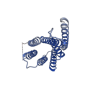 13035_7oqz_B_v1-1
Cryo-EM structure of human TMEM45A