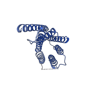 13035_7oqz_C_v1-1
Cryo-EM structure of human TMEM45A