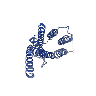 13035_7oqz_D_v1-1
Cryo-EM structure of human TMEM45A