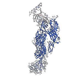 17103_8oq3_A_v1-0
Structure of methylamine treated human complement C3