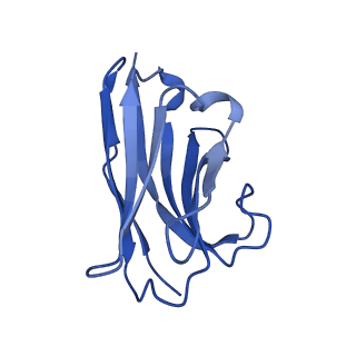 17103_8oq3_C_v1-0
Structure of methylamine treated human complement C3