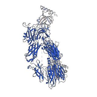 17103_8oq3_D_v1-0
Structure of methylamine treated human complement C3