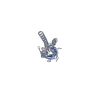 17106_8oq6_C_v1-2
CryoEM structure of human rho1 GABAA receptor apo state