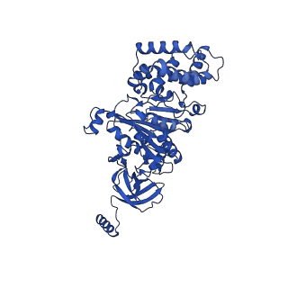 20167_6oqr_A_v1-2
E. coli ATP Synthase ADP State 1a