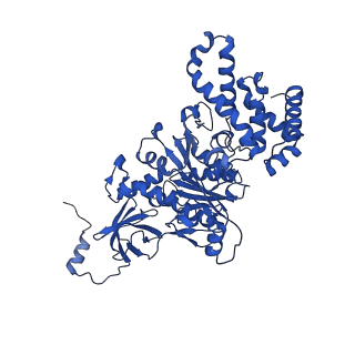 20167_6oqr_C_v1-2
E. coli ATP Synthase ADP State 1a