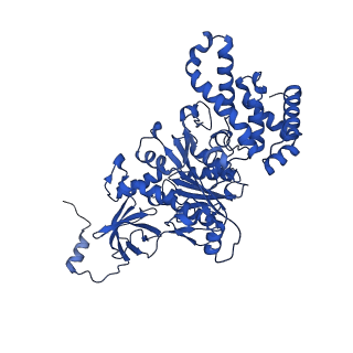 20167_6oqr_C_v1-3
E. coli ATP Synthase ADP State 1a