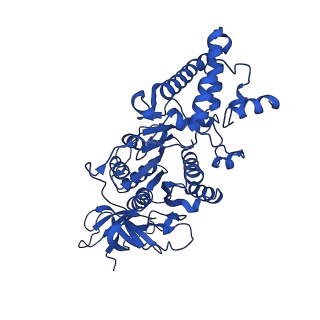 20167_6oqr_D_v1-2
E. coli ATP Synthase ADP State 1a