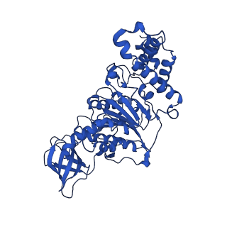 20167_6oqr_F_v1-3
E. coli ATP Synthase ADP State 1a