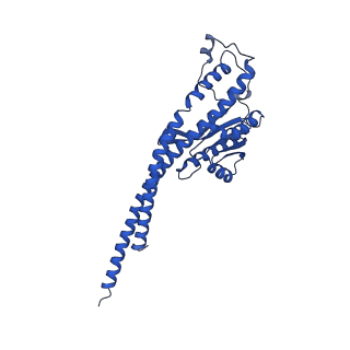 20167_6oqr_G_v1-2
E. coli ATP Synthase ADP State 1a