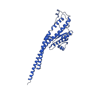 20167_6oqr_G_v1-3
E. coli ATP Synthase ADP State 1a