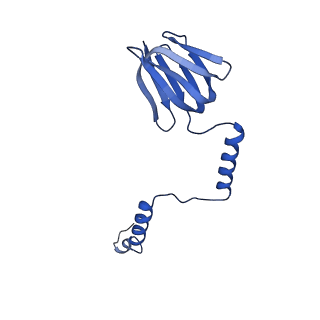 20167_6oqr_H_v1-2
E. coli ATP Synthase ADP State 1a