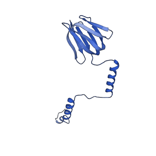 20167_6oqr_H_v1-3
E. coli ATP Synthase ADP State 1a