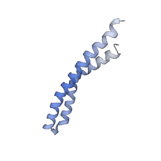 20167_6oqr_I_v1-2
E. coli ATP Synthase ADP State 1a