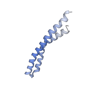 20167_6oqr_I_v1-3
E. coli ATP Synthase ADP State 1a