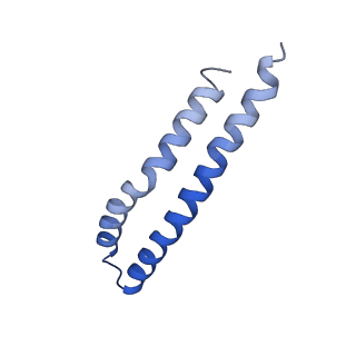 20167_6oqr_J_v1-2
E. coli ATP Synthase ADP State 1a