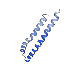 20167_6oqr_J_v1-3
E. coli ATP Synthase ADP State 1a