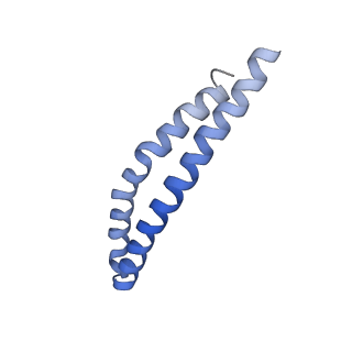 20167_6oqr_L_v1-3
E. coli ATP Synthase ADP State 1a