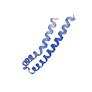 20167_6oqr_M_v1-2
E. coli ATP Synthase ADP State 1a