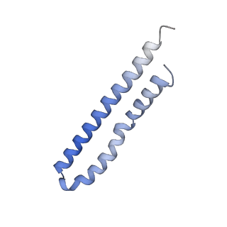 20167_6oqr_O_v1-3
E. coli ATP Synthase ADP State 1a