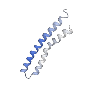 20167_6oqr_P_v1-3
E. coli ATP Synthase ADP State 1a