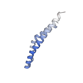 20167_6oqr_Q_v1-3
E. coli ATP Synthase ADP State 1a