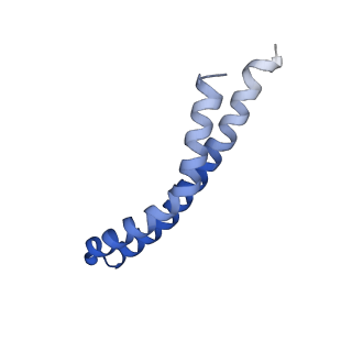 20167_6oqr_R_v1-2
E. coli ATP Synthase ADP State 1a
