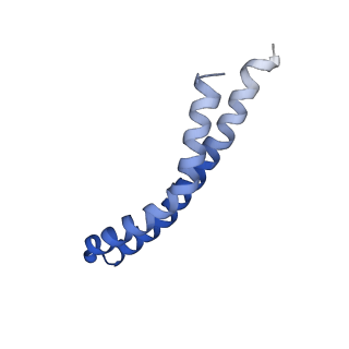 20167_6oqr_R_v1-3
E. coli ATP Synthase ADP State 1a