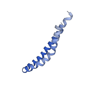 20167_6oqr_S_v1-3
E. coli ATP Synthase ADP State 1a