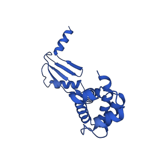 20167_6oqr_W_v1-3
E. coli ATP Synthase ADP State 1a