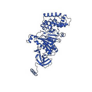 20168_6oqs_A_v1-2
E. coli ATP synthase State 1b