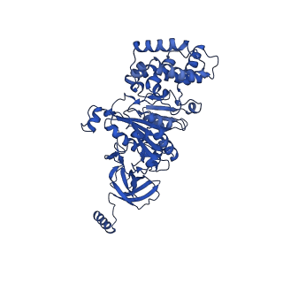 20168_6oqs_A_v1-3
E. coli ATP synthase State 1b