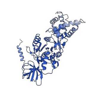 20168_6oqs_B_v1-2
E. coli ATP synthase State 1b