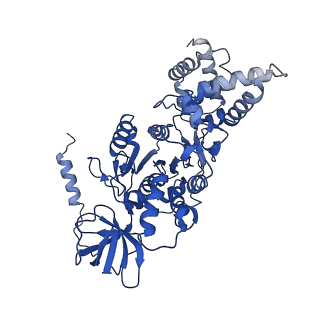 20168_6oqs_B_v1-3
E. coli ATP synthase State 1b