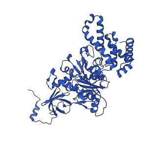 20168_6oqs_C_v1-3
E. coli ATP synthase State 1b