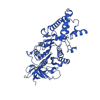 20168_6oqs_D_v1-2
E. coli ATP synthase State 1b