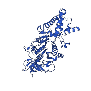 20168_6oqs_D_v1-3
E. coli ATP synthase State 1b