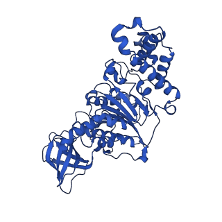 20168_6oqs_F_v1-2
E. coli ATP synthase State 1b