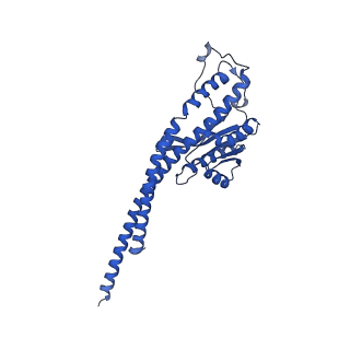 20168_6oqs_G_v1-2
E. coli ATP synthase State 1b