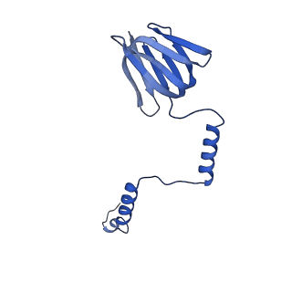 20168_6oqs_H_v1-2
E. coli ATP synthase State 1b
