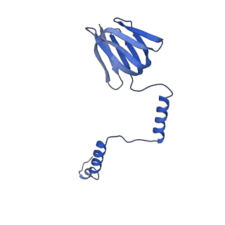 20168_6oqs_H_v1-3
E. coli ATP synthase State 1b