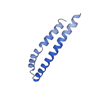 20168_6oqs_J_v1-3
E. coli ATP synthase State 1b