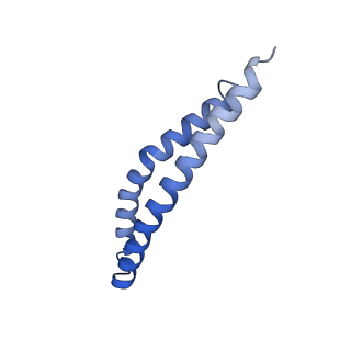 20168_6oqs_L_v1-2
E. coli ATP synthase State 1b