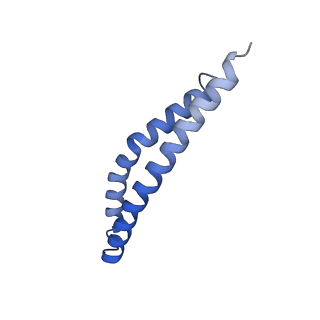 20168_6oqs_L_v1-3
E. coli ATP synthase State 1b