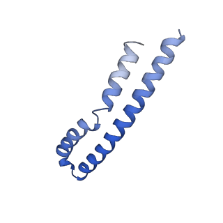 20168_6oqs_M_v1-2
E. coli ATP synthase State 1b