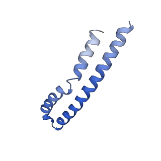 20168_6oqs_M_v1-3
E. coli ATP synthase State 1b