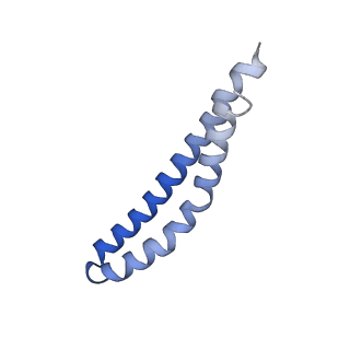 20168_6oqs_N_v1-3
E. coli ATP synthase State 1b