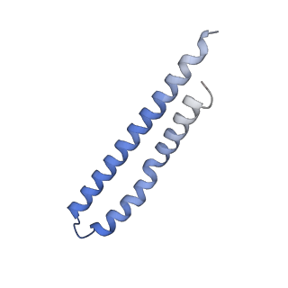20168_6oqs_O_v1-2
E. coli ATP synthase State 1b