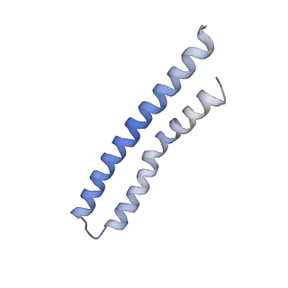 20168_6oqs_P_v1-3
E. coli ATP synthase State 1b